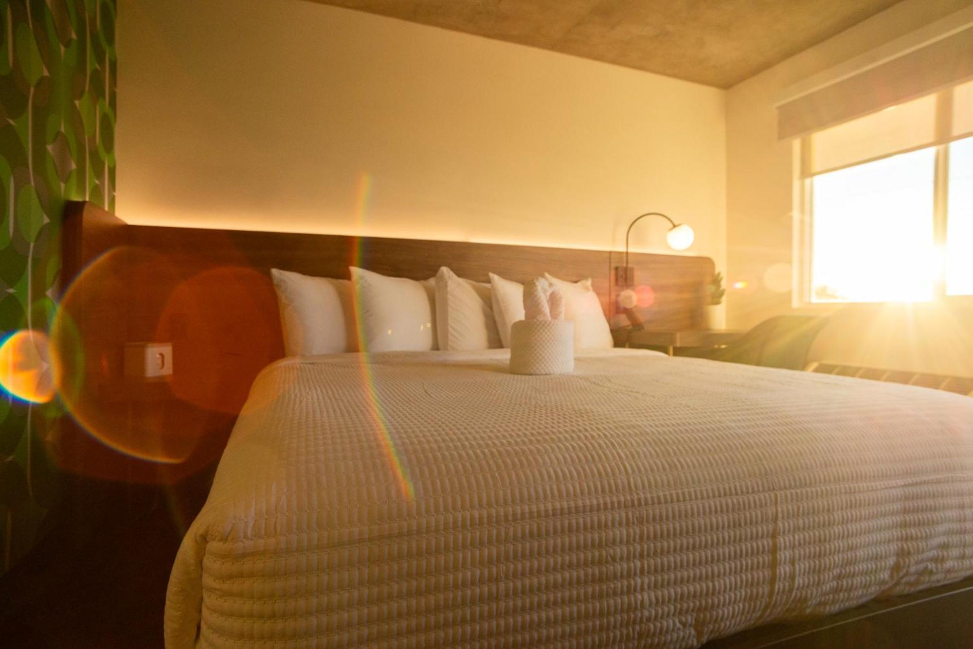 The Alice Hotel Тусон Екстериор снимка